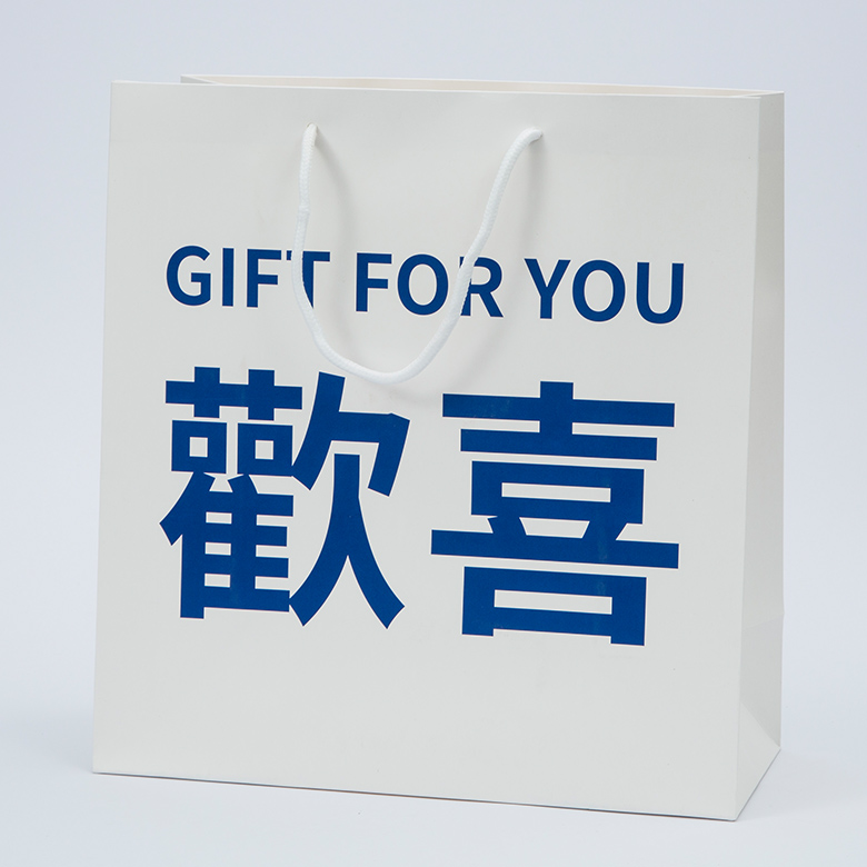 Sacchetto di carta per Shopping Bag